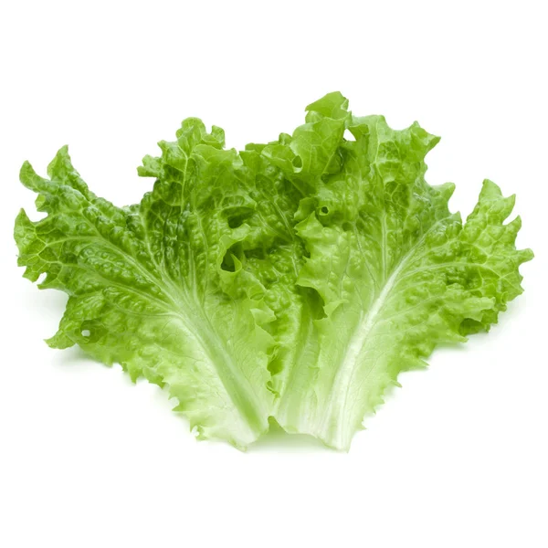 Čerstvé listy zeleného salátu — Stock fotografie