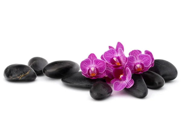 Zen-Kieselsteine und Orchideenblumen. — Stockfoto