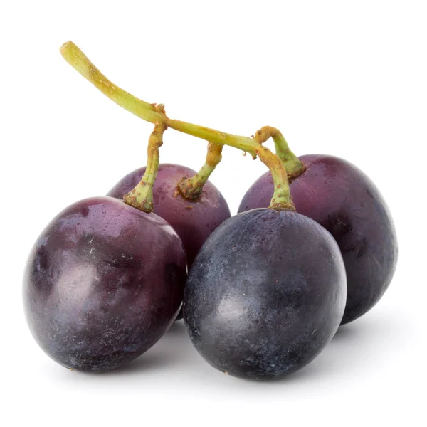 Uvas vermelhas isoladas — Fotografia de Stock