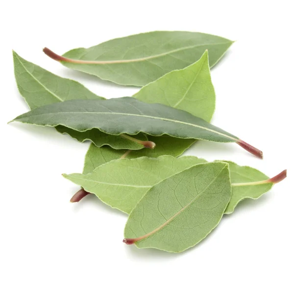 Aromatyczne liście laurowe — Zdjęcie stockowe