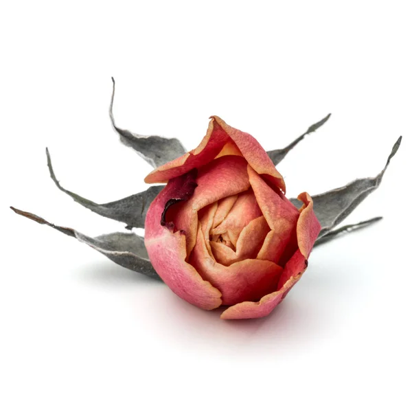 Dried rose flower Stock Photo by ©natika 121716774