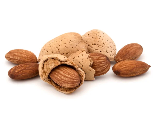 Almond nut in shells — Stock Photo, Image