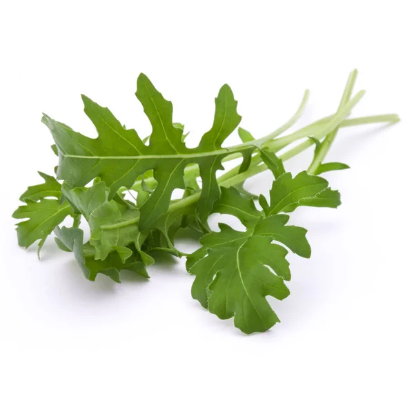 Foglie di rucola fresca verde — Foto Stock