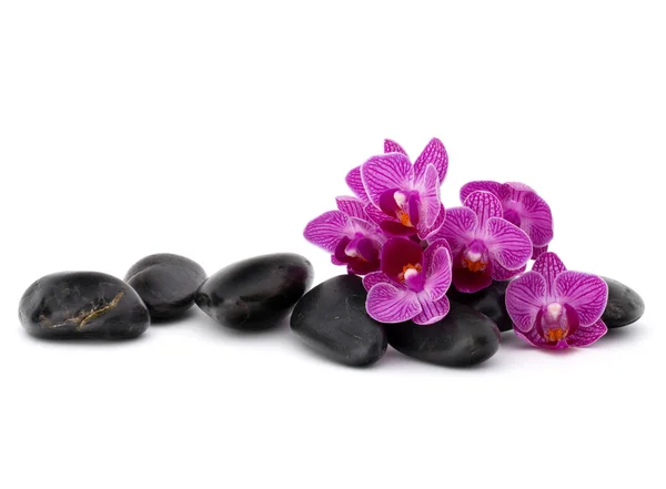 Zen-Kieselsteine und Orchideenblumen. — Stockfoto