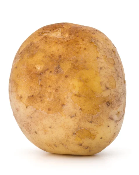 Nieuwe aardappel geïsoleerd — Stockfoto
