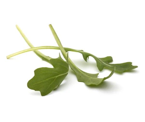 Rakieta liśćmi sałaty — Zdjęcie stockowe
