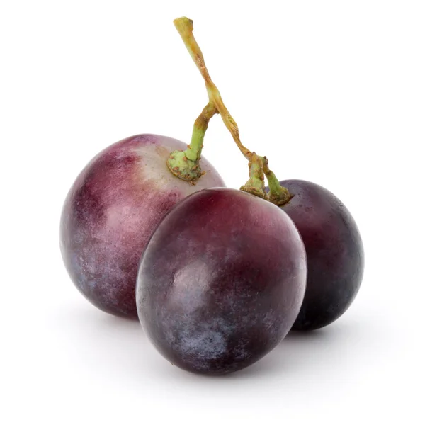 Червоний виноград, ізольовані — стокове фото
