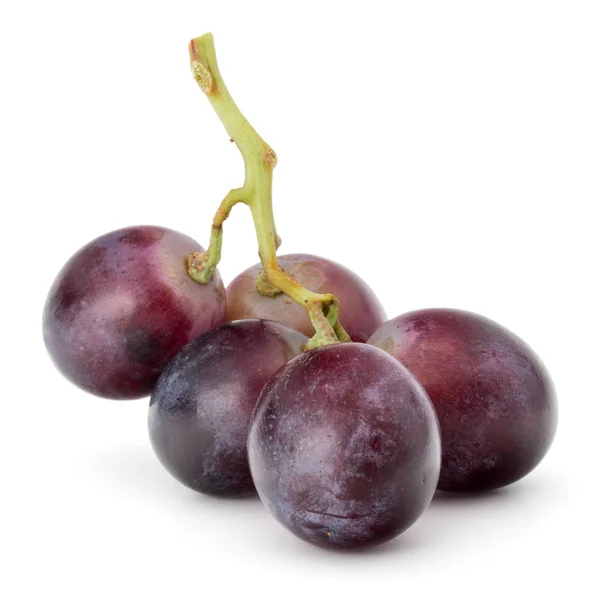 Uvas vermelhas isoladas — Fotografia de Stock