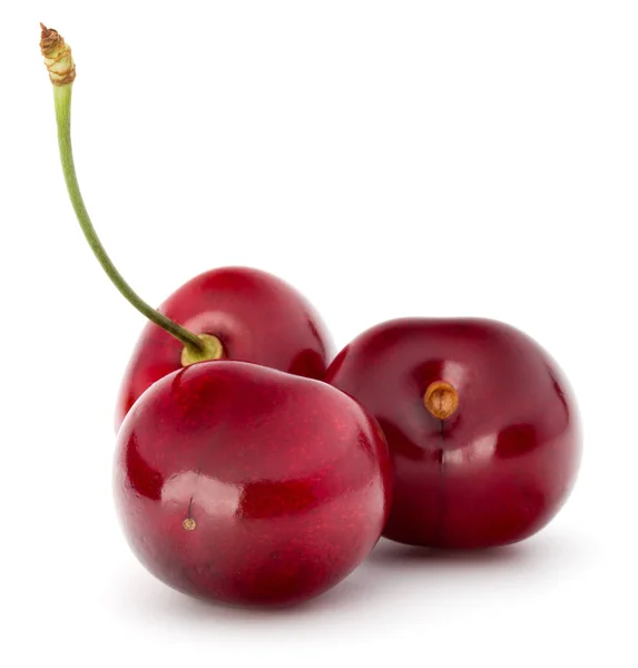 Sweet cherry berries — Stock Photo, Image