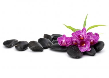 Zen çakıl ve orkide çiçekleri