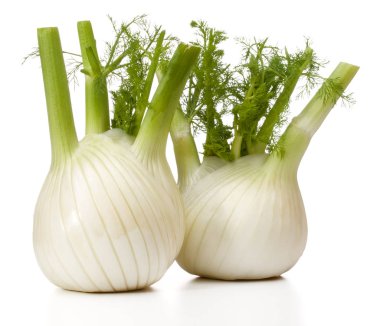 Taze rezene Ampüller