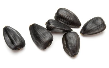 Kuru ayçiçeği tohumu