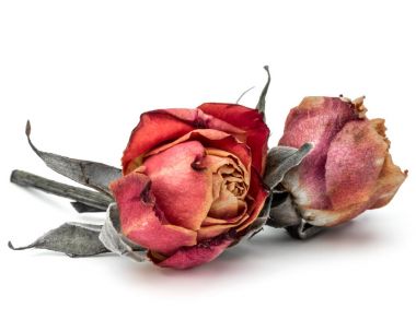 kurutulmuş gül çiçek