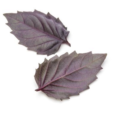 Kırmızı fesleğen yaprağı 