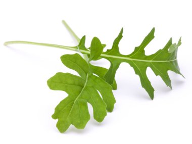 taze rucola yaprakları
