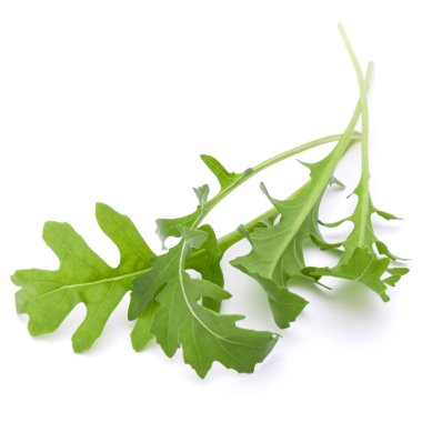 taze rucola yaprakları