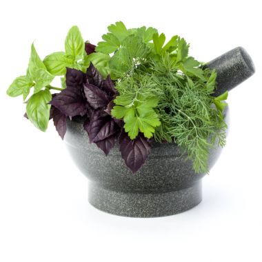 Taze baharatlar ve bitkiler. 