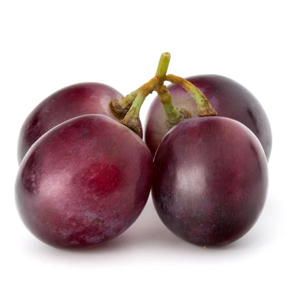 Red grape bunch — Stock Photo, Image