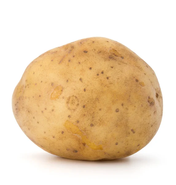 Fresh potato tuber — Stock Photo, Image