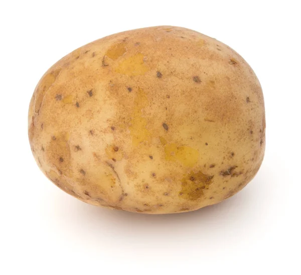Färsk potatis tuber — Stockfoto