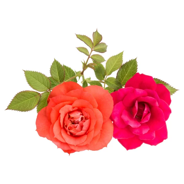 Ramo de flores rosa —  Fotos de Stock