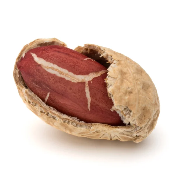 Opened peanut or groundnut — Stock Photo, Image