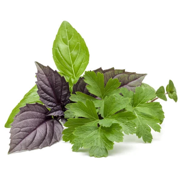 Fresh herb leaves variety — Stock Photo, Image