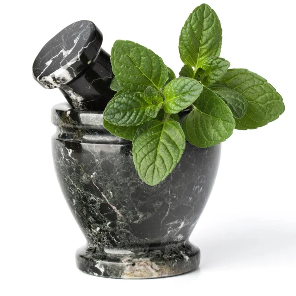 Marble stone mortar and pestle — Stock Photo, Image