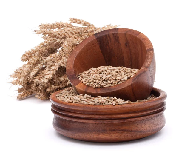 Зерна пшениці в мисці — стокове фото