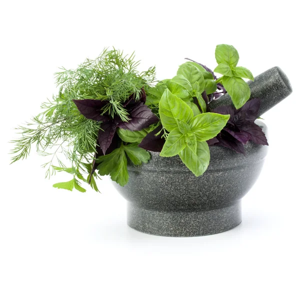 Taze baharatlar ve bitkiler. 