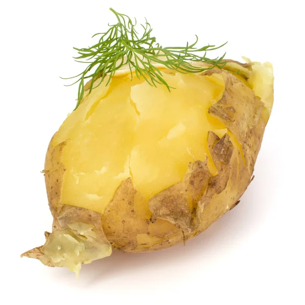 Boiled peeled potato — Stock Photo, Image