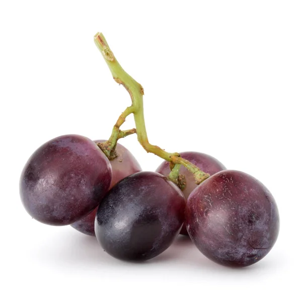 Red grape bunch — Stock Photo, Image