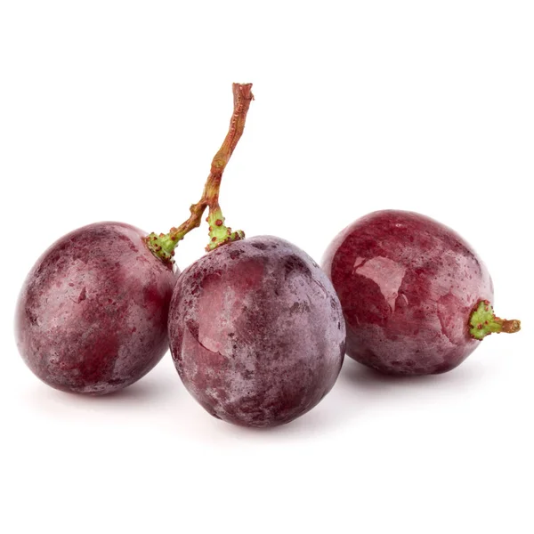 Red grape bunch — Fotografie, imagine de stoc
