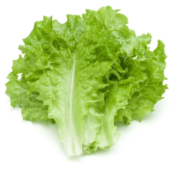 Grüne Salatblätter — Stockfoto