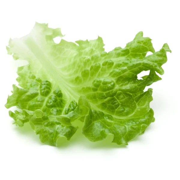 Green lettuce leaves — Stock Photo, Image