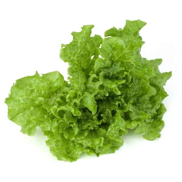 Grüne Salatblätter — Stockfoto