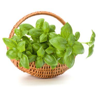 Sepet içinde fesleğen yaprakları 