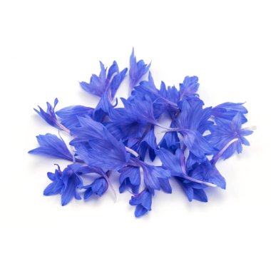 Mavi Peygamber otlar