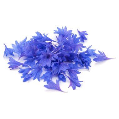 Mavi Peygamber otlar