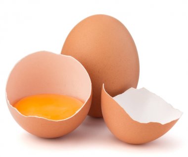 Kırık yumurta yumurta kabuğu 