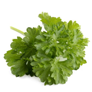 taze yeşil maydanoz 