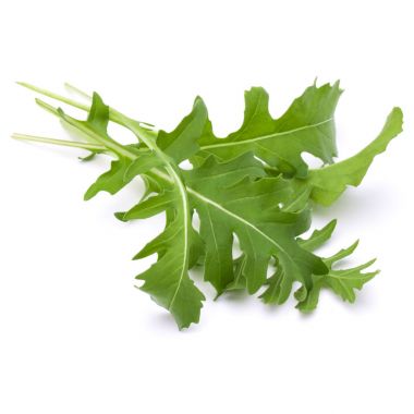taze rucola yaprakları