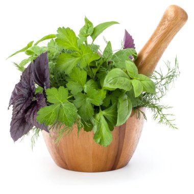 Taze baharatlar ve bitkiler. 