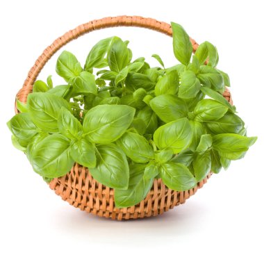 Sepet içinde fesleğen yaprakları 