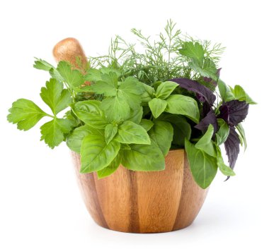 Taze baharatlar ve bitkiler. 