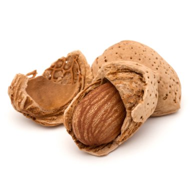 Badem fındık kabuklarında 