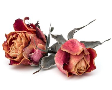 kurutulmuş gül çiçek