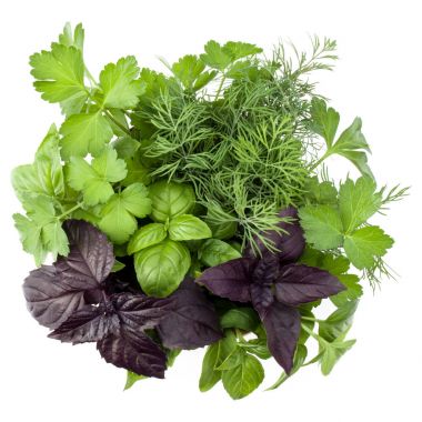 Taze baharatlar ve bitkiler. 