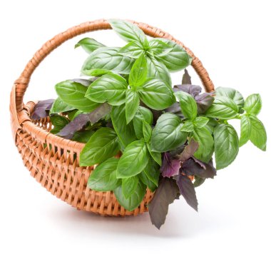 Sepet içinde fesleğen yaprakları 