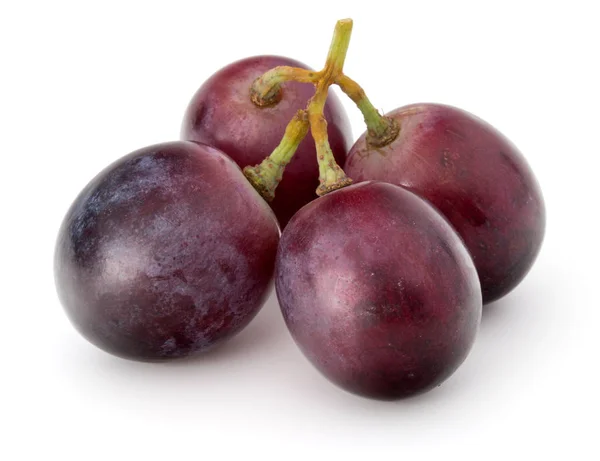 Cacho de uvas vermelhas — Fotografia de Stock